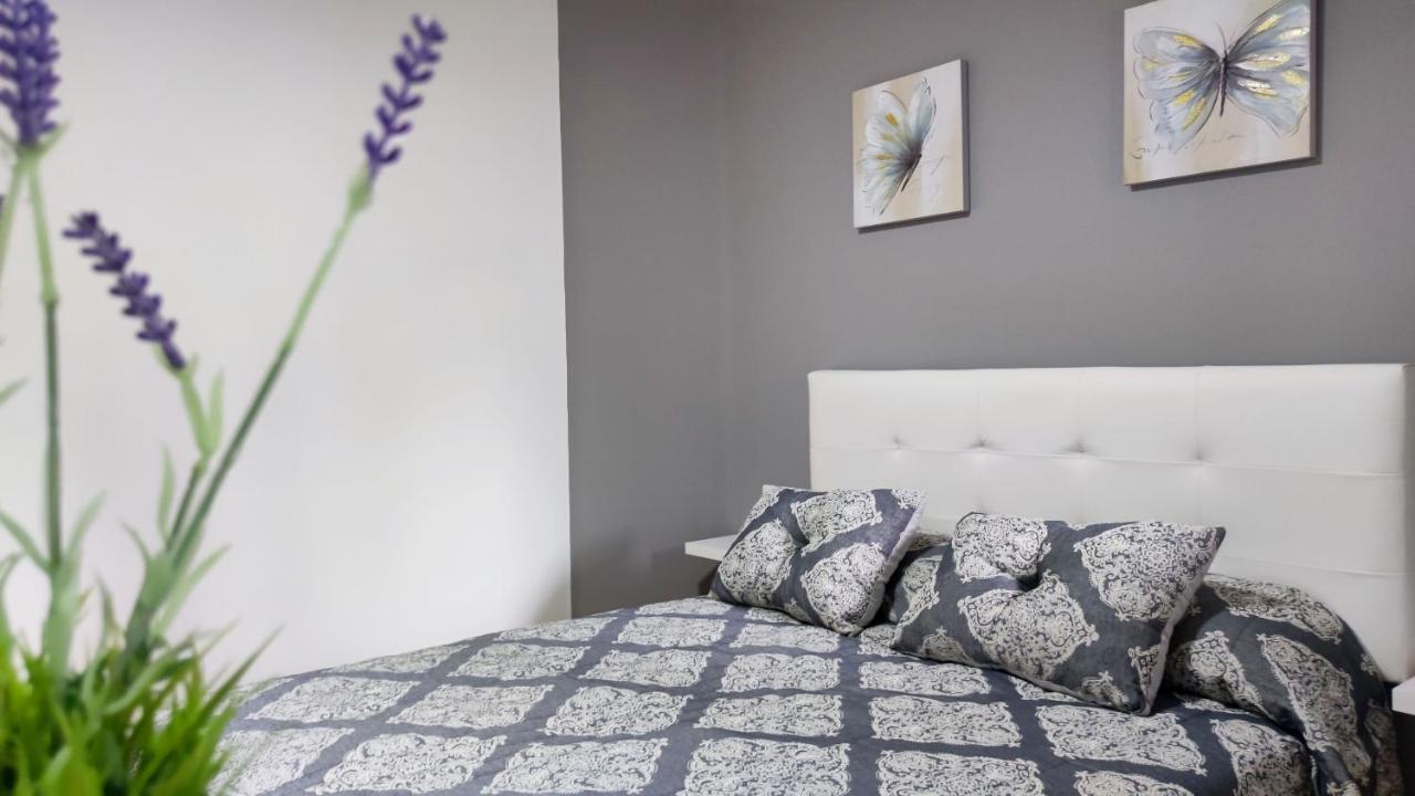 Os Reloxos II Apartment Mondariz-Balneario Ngoại thất bức ảnh